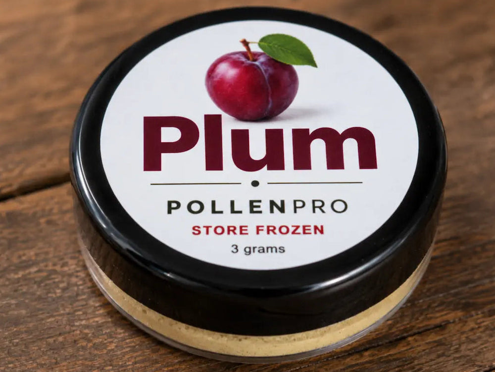 PollenPro Plum pollen on a wood table
