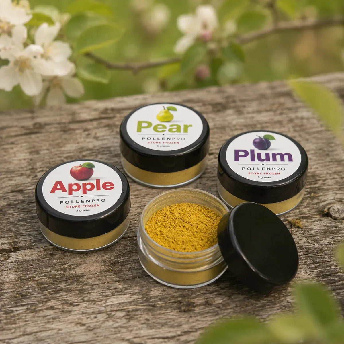PollenPro apple, pear, and plum pollen for fruit tree pollination