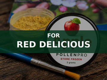 PollenPro apple pollination kit with pollen container and application brush, for Red Delicious apple trees.